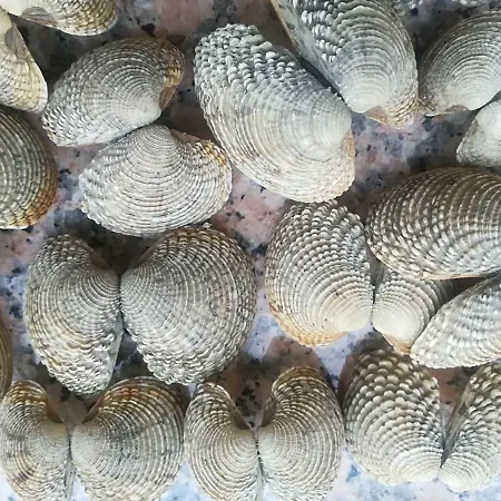 Cupar Apartment Poreč