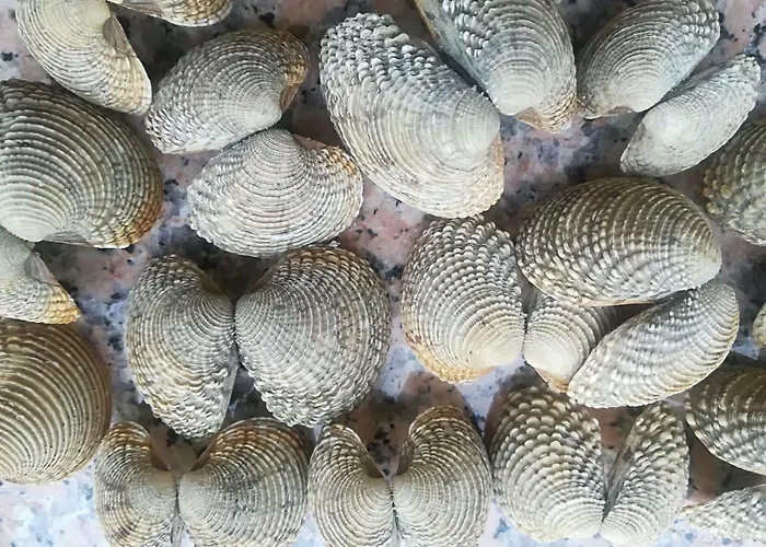 Cupar Lägenhet Poreč